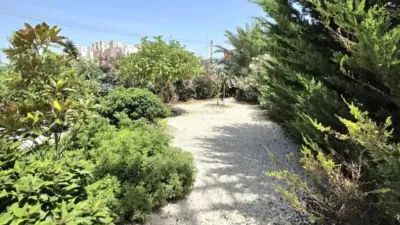 Casa – Torrevieja - Vista 2