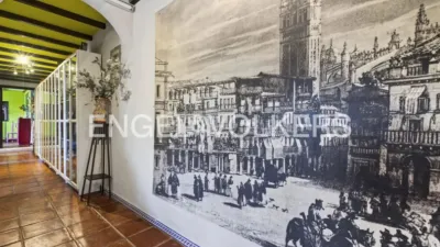 House in Osuna photo 53