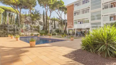 Apartment in La Pineda photo 46