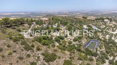 House in Osuna photo 102