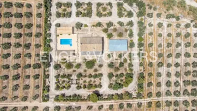House in Osuna photo 67