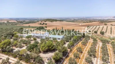 House in Osuna photo 63