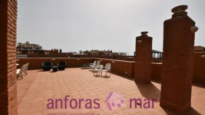 Penthouse on Passeig de Rafael Campalans photo 35