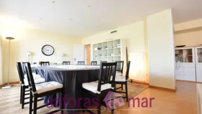 Penthouse on Passeig de Rafael Campalans photo 5