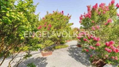 House at Club de Golf-Molino de la Hoz photo 41
