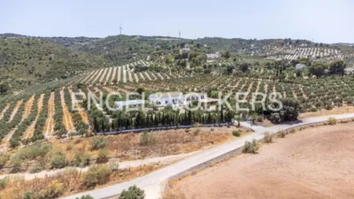 House in Osuna photo 60