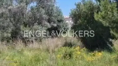 Terreno en venta en Alcasar - Vista 3