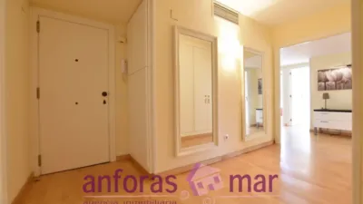Penthouse on Passeig de Rafael Campalans photo 14