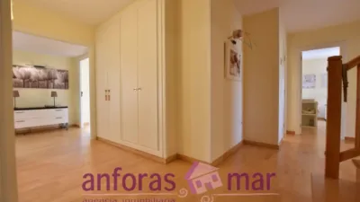 Penthouse on Passeig de Rafael Campalans photo 15