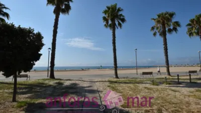 Penthouse on Passeig de Rafael Campalans photo 64