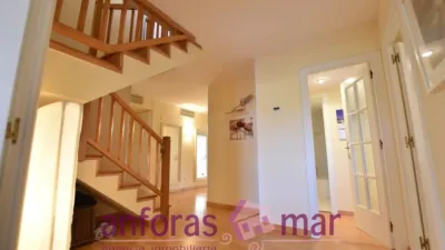 Penthouse on Passeig de Rafael Campalans photo 9