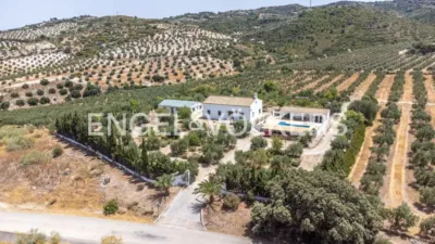 House in Osuna photo 61