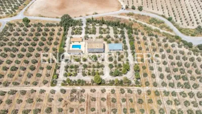 House in Osuna photo 66