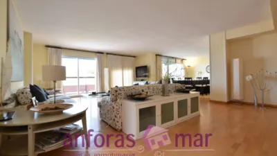 Penthouse on Passeig de Rafael Campalans photo 4