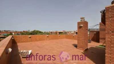 Penthouse on Passeig de Rafael Campalans photo 42