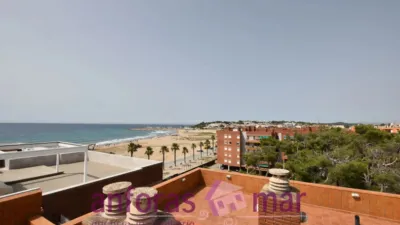 Penthouse on Passeig de Rafael Campalans photo 49