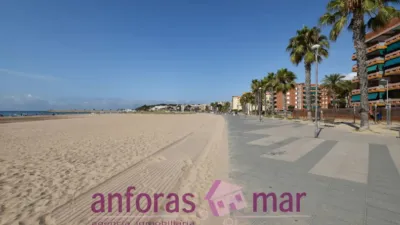 Penthouse on Passeig de Rafael Campalans photo 66
