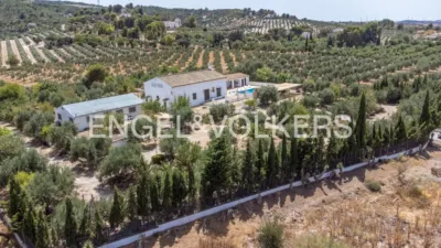 House in Osuna photo 59