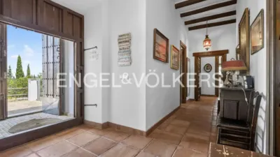 House in Osuna photo 8