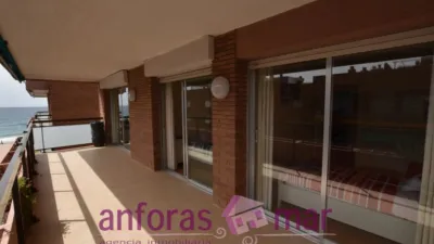 Penthouse on Passeig de Rafael Campalans photo 25