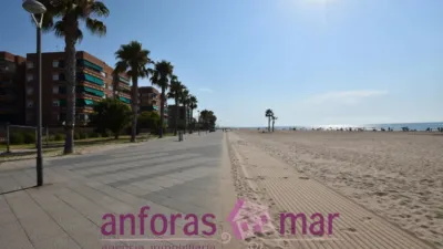 Penthouse on Passeig de Rafael Campalans photo 67