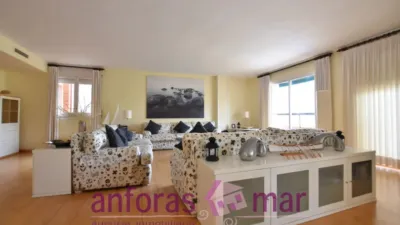 Penthouse on Passeig de Rafael Campalans photo 3