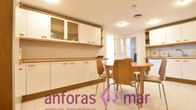 Penthouse on Passeig de Rafael Campalans photo 16