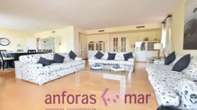 Penthouse on Passeig de Rafael Campalans photo 2