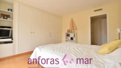 Penthouse on Passeig de Rafael Campalans photo 28