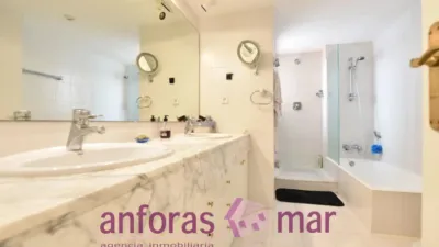 Penthouse on Passeig de Rafael Campalans photo 30