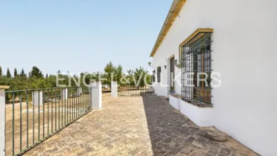 House in Osuna photo 47
