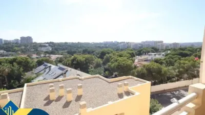 Piso – Orihuela - Vista 3