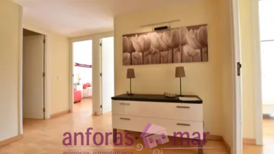 Penthouse on Passeig de Rafael Campalans photo 18