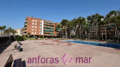 Penthouse on Passeig de Rafael Campalans photo 61