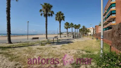 Penthouse on Passeig de Rafael Campalans photo 65