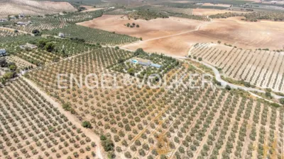 House in Osuna photo 65