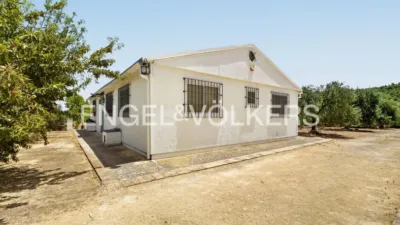 House in Osuna photo 54