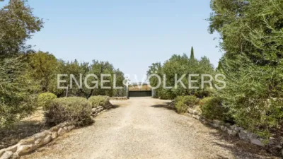 House in Osuna photo 57