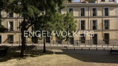 Apartment in Palacio photo 24