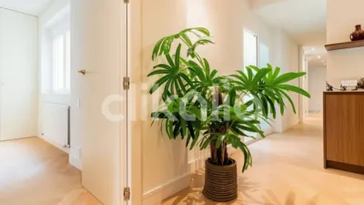 Apartment in Ibiza photo 33