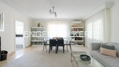 House in El Bosque photo 17