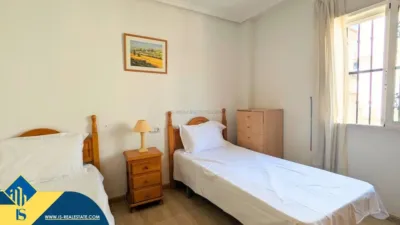 Chalet in Algorfa photo 20
