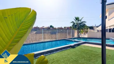 Apartment in Algorfa photo 4