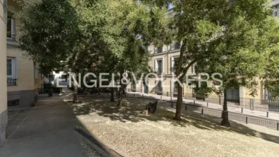 Apartment in Palacio photo 23