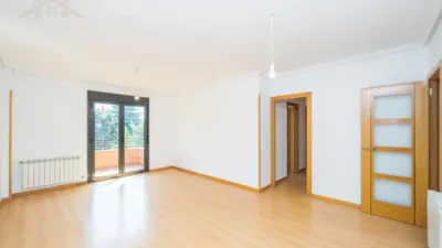 Apartment on Calle Seis photo 4