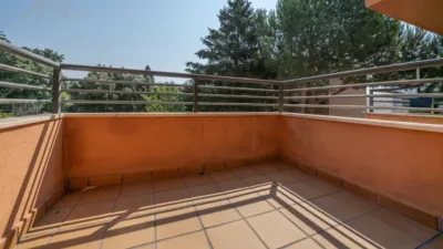 Apartment on Calle Seis photo 11