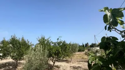 Terreno en venta en Avinguda de la Creu - Vista 3