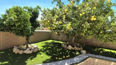 Chalet in Aguas Nuevas-Torreblanca-Sector 25 photo 7