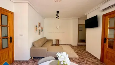 Apartment in Playa del Cura photo 13