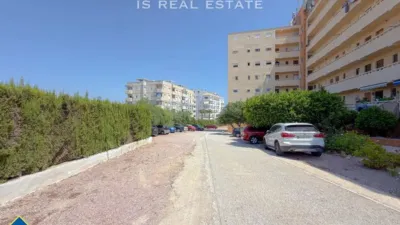 Studio in Aguas Nuevas-Torreblanca-Sector 25 photo 12